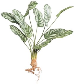 Τεχνητή Χωνευτή Καλαθέα Orbifolia 7431-7 25x61cm Green Supergreens Πολυαιθυλένιο