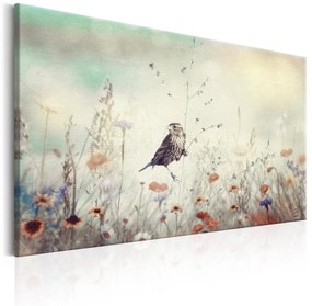 Πίνακας - Wild Meadow 60x40