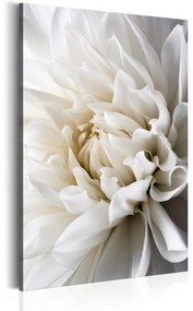 Πίνακας - White Dahlia 80x120