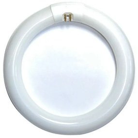 Λάμπα LED T9 20W κυκλική φθορίου ψυχρή LT9-32D Geyer LT9-32D