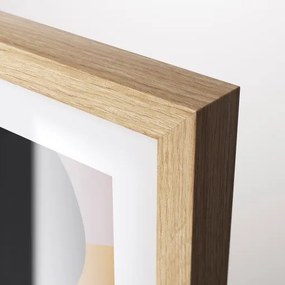 RODALM κορνίζα με πόστερ/περιστέρι ειρήνης, 50x70 cm 405.835.57