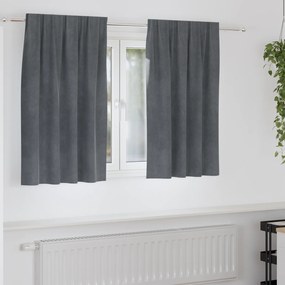 vidaXL Κουρτίνες με κουρτίνες 2 pcs Ανοιχτό γκρι 140 x 140 cm Βελούδο