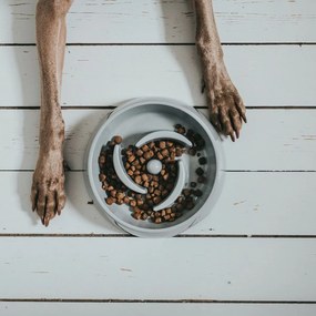 Ταΐστρα σκύλων Hunter μελαμίνη 550 ml