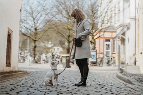 Κολλάρο Σκύλου Hunter Inari Μπεζ XL 45-65 cm