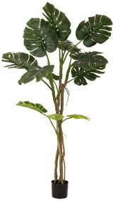 Φυτό Μονστερά 80888 180cm Green Πλαστικό