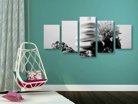 Εικόνα 5 μερών Πέτρες Ζεν με κοχύλια σε μαύρο & άσπρο - 200x100