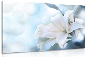 Εικόνα λευκό λουλούδι κρίνου σε αφηρημένο φόντο - 90x60