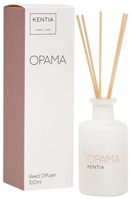 Αρωματικό Χώρου 100ml Με Στικς Kentia Mood Όραμα