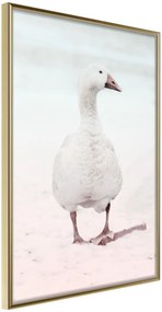 Αφίσα - Walking Goose - 40x60 - Χρυσό - Χωρίς πασπαρτού