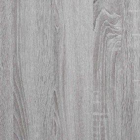 vidaXL Δισκοθήκη Γκρι Sonoma 121 x 38 x 48 εκ. από Επεξεργασμένο Ξύλο