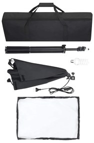 vidaXL Φωτιστικά Studio Επαγγελματικά 2 τεμ. Μαύρα 40x60 εκ. Ατσάλινα