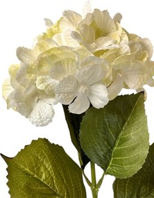 Τεχνητό Λουλούδι Λευκό  55εκ 4188yc/wh -301