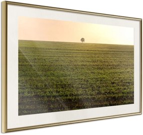 Αφίσα - Farmland - 30x20 - Χρυσό - Με πασπαρτού