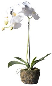 Τεχνητό Φυτό Ορχιδέα Με Βάση Moss 9070-6 26x26x60cm White Supergreens Πολυαιθυλένιο