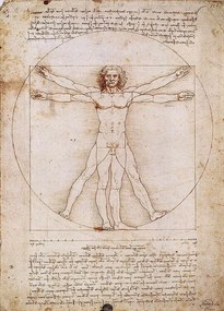 Εκτύπωση έργου τέχνης Vitruvian Man, Leonardo Da Vinci, (50 x 70 cm)