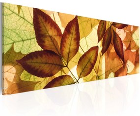 Πίνακας - collage - leaves 135x45