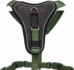 Λουρί Σκύλου Trixie Premium Πράσινο S