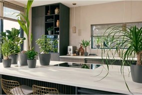 Σετ από Γλάστρες Elho Πλαστική ύλη Στρόγγυλο 3 Τεμάχια