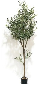 Supergreens Τεχνητό Δέντρο Ελιά Mediterra Πράσινο 180 εκ. - 5990-6