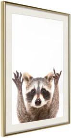 Αφίσα - Funny Racoon - 20x30 - Χρυσό - Με πασπαρτού