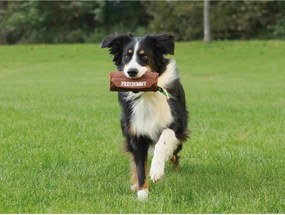 Παιχνίδια για Σκύλους Trixie