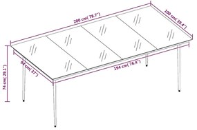 vidaXL Τραπεζαρία Κήπου Μαύρη 200 x 100 x 74 εκ. από Ατσάλι και Γυαλί