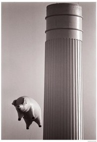 Αφίσα Pink Floyd - Animals – Inflatable pig 1976