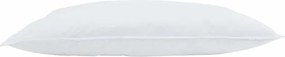 vidaXL Μαξιλάρι με μαξιλάρι 2 pcs Λευκό 40 x 80 cm Φτερό