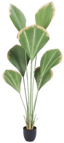 Τεχνητό Δέντρο Λικουάλα 8701-6 160cm Green Supergreens Plastic