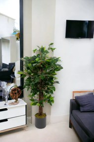 Stewehome Τεχνητό δέντρο μπένζαμιν Πράσινο