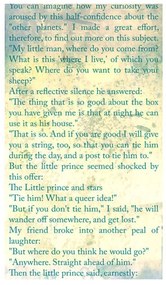 Φωτοταπετσαρία - The Little Prince - Tales Of Life 50x1000