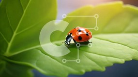 Intra Συλλεκτικό Ξύλινο Παζλ Plywood  4mm - Πασχαλίτσα στο πράσινο φύλλο Σε Ξύλινο Κουτί - Διαστάσεις: 10x10 cm – 25 κομμάτια