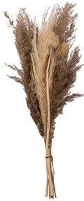 Αποξηραμένα Διακοσμητικά Κλαδιά Pampas 58εκ. A-S Pampa Bouquet 189111
