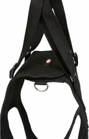 Περιπατητής σκύλων Trixie