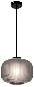 Φωτιστικό Οροφής Astor 4253001 E27 Fume Viokef Metal, Glass