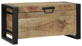 vidaXL Κουτιά Αποθήκευσης 60x30x30εκ Μασίφ Ξύλο Μάνγκο και Μέταλλο