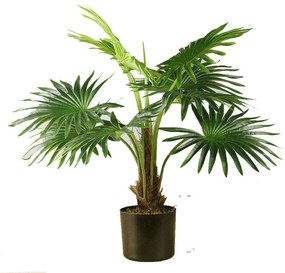 Τεχνητό Φυτό Πιτσάρδια 3350-6 50x50x65cm Green Supergreens Polyethylene