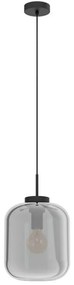 Φωτιστικό Οροφής 39673 Bulciago E27/1 Ø250 Black-Clear Eglo Metal, Glass