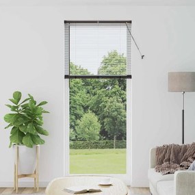 vidaXL Βενετσιάνικες Ρόδες Μαύρο 220 x 95 εκ Αλουμίνιο