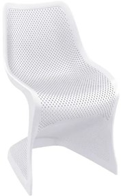 BLOOM WHITE ΚΑΡΕΚΛΑ ΠΟΛ/ΝΙΟΥ