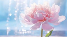 Intra Συλλεκτικό Ξύλινο Παζλ Plywood 4mm - Pink Flower από Indoor Water Fountain Σε Ξύλινο Κουτί - Διαστάσεις: 10x10 cm – 25 κομμάτια