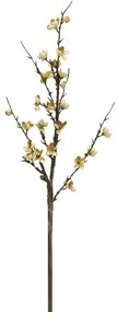 WINTERSWEET ΤΕΧΝΗΤΟ ΚΛΑΔΙ ΚΙΤΡΙΝΟ ΜΠΕΖ ΠΡΑΣΙΝΟ H79cm - 030770