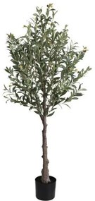New plan OLIVE TREE OLIVE TREE NP439_150 ΥΨΟΣ 150cm Τεμαχιο
