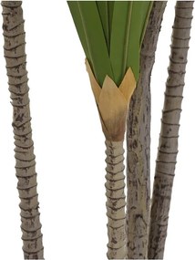 Διακοσμητικό Φυτό DKD Home Decor (80 x 80 x 180 cm)