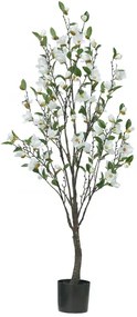 MarHome ΔΕΝΤΡΟ ΛΕΥΚΟ ΜΑΝΩΛΙΑ ΣΕ ΓΛΑΣΤΡΑ Υ140cm 2/ΚΙΒ  04-22052