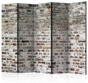 Διαχωριστικό με 5 τμήματα - Old Walls II [Room Dividers] 225x172