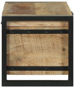 vidaXL Κουτιά Αποθήκευσης 60x30x30εκ Μασίφ Ξύλο Μάνγκο και Μέταλλο