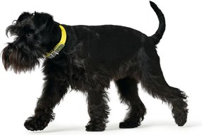 Κολλάρο Σκύλου Hunter Convenience 47-55 cm L Κίτρινο