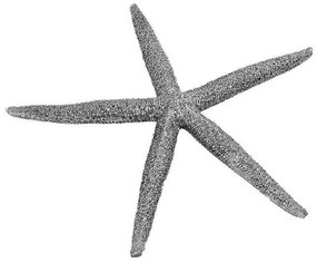Διακοσμητικός Αστερίας MT2714K6 12,5x11x1,5cm Silver Espiel Πολυρεσίνη