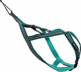 Λουρί Σκύλου Olympia XS